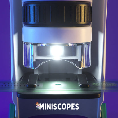 The Miniscope