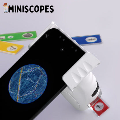 The Miniscope