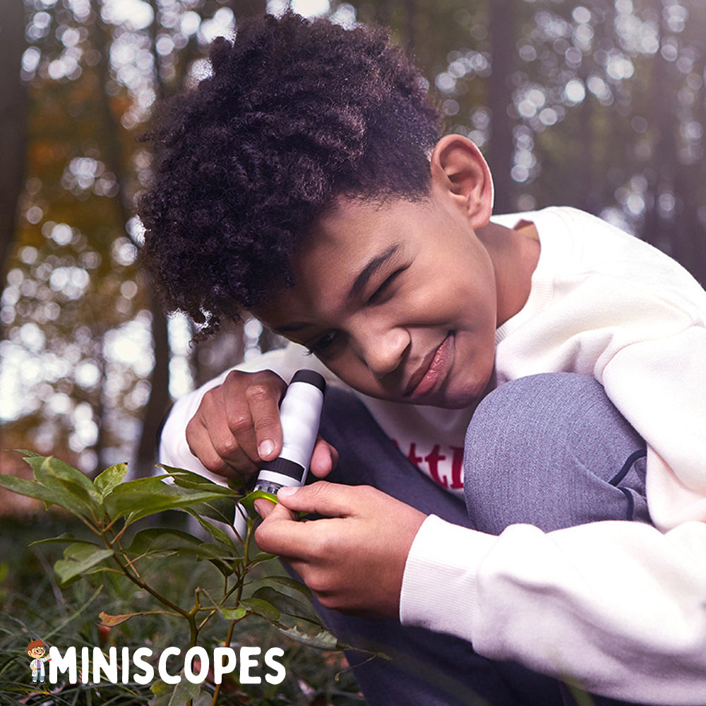 The Miniscope