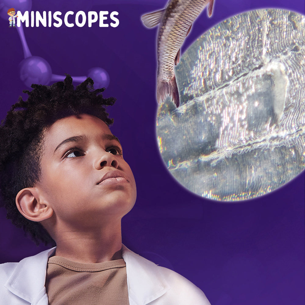 The Miniscope