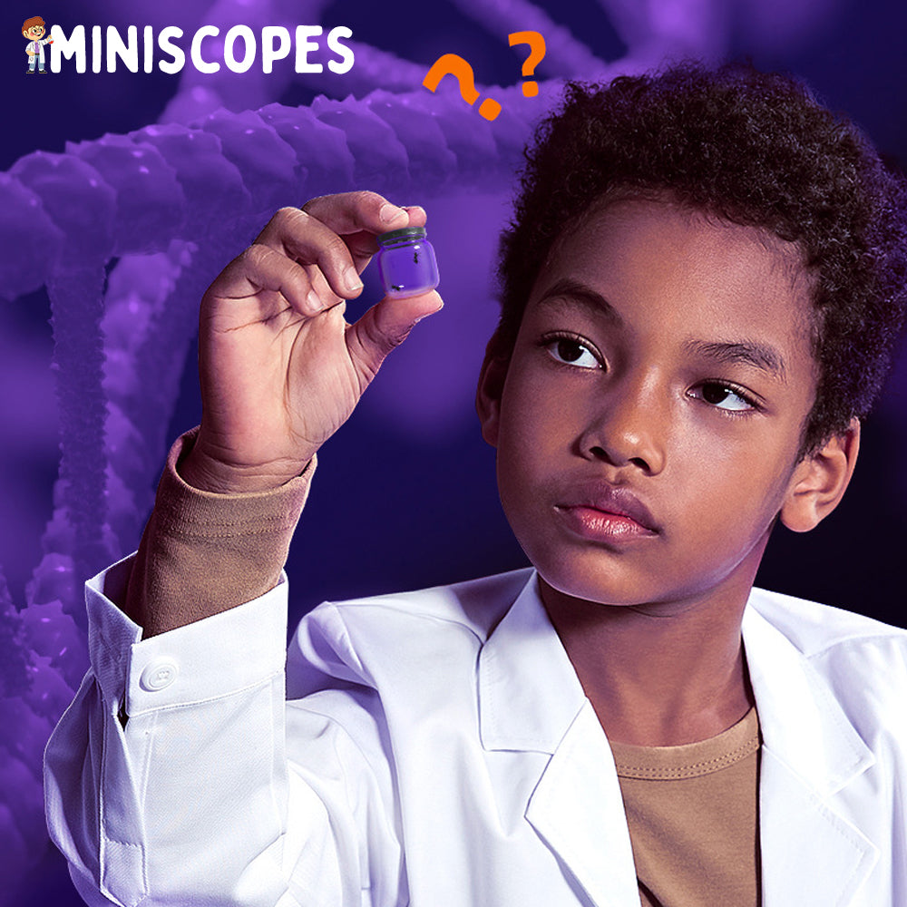 The Miniscope